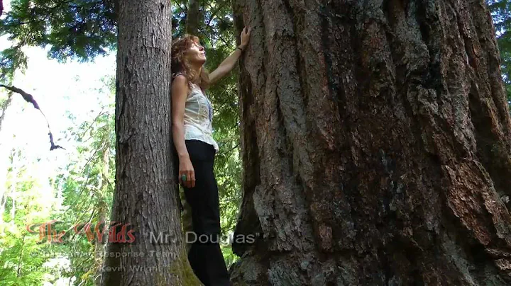 Holly Douglas Photo 35