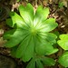 Anne Weems Photo 22