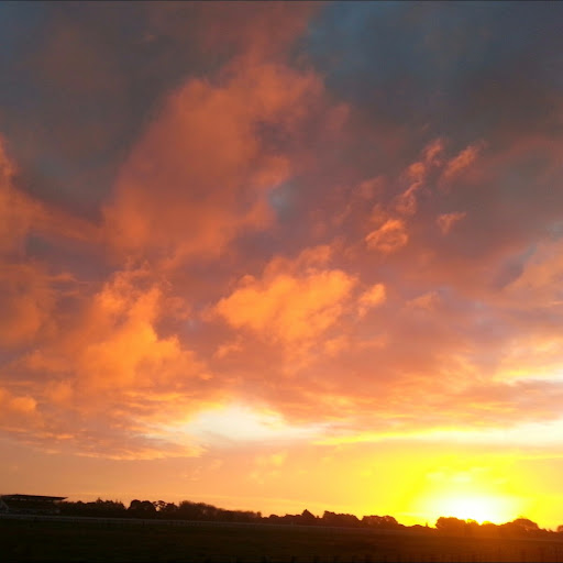 Brian Bushe Photo 5