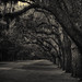 Scott Fortney Photo 30