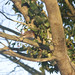 Robin Hatfield Photo 35