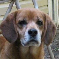 Cathy Cochran Photo 1