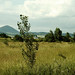 Summer Land Photo 35