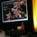 Michael Homan Photo 41
