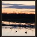 Penny Tuttle Photo 32
