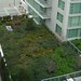 Victoria Green Photo 37