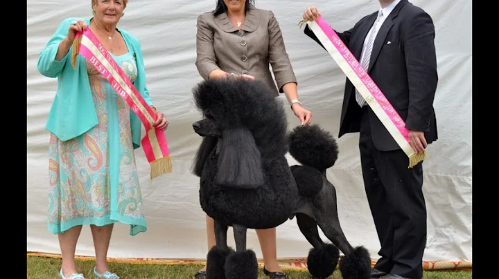 Sandra Mcmahon Photo 32