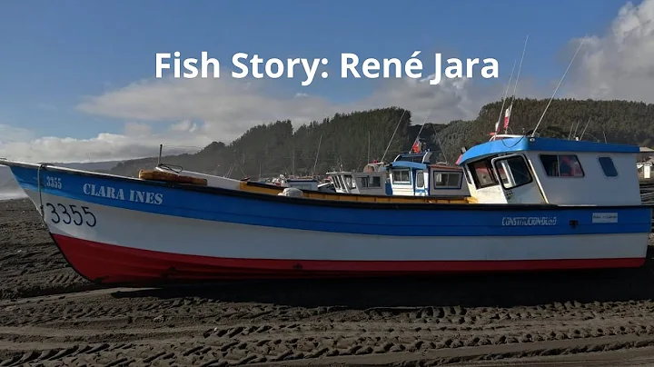 Rene Jara Photo 18