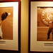 Bill Bush Photo 41