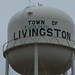 Jill Livingston Photo 33