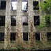 Ivy May Photo 38