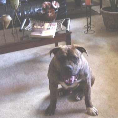Renee Doyle Photo 12