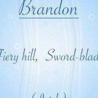 Brandon Mitchem Photo 3