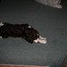 Reva Brown Photo 41