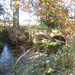 Shirley Brooks Photo 38