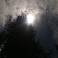 John Stoddard Photo 8