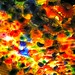Dale Flori Photo 8