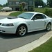 Steven Stang Photo 15