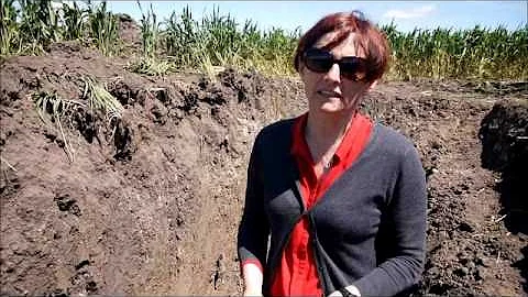 Pauline Paddock Photo 3