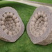 Peter Randall Photo 47