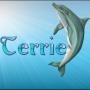Terrie Schmidt Photo 12