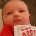 Brock Norris Photo 23
