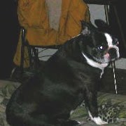 Brian Freer Photo 3
