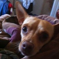 Chester Miller Photo 8