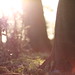 Craig Goode Photo 32
