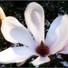 Paula Withers Photo 20