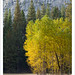 Cliff Brown Photo 46