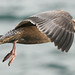 Craig Herring Photo 30