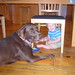 Max Kitchen Photo 9
