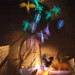 Stefan Gruber Photo 32