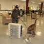 Martin Rutledge Photo 11