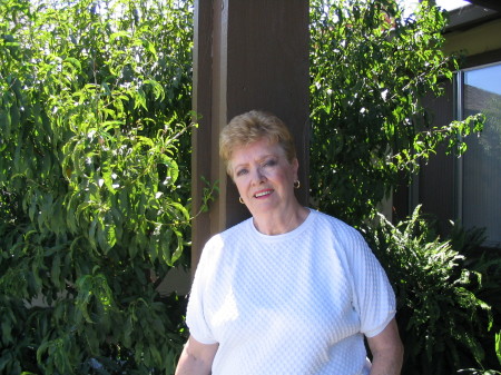Joan Michaud Photo 9