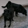 Connie Garrett Photo 9