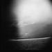 Diana Helms Photo 18