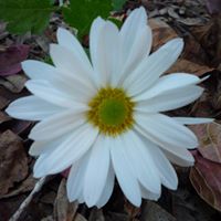 Martha Winters Photo 8