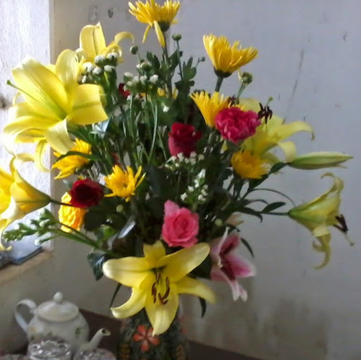 Khue Hoang Photo 15
