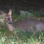 Brenda Tipton Photo 22