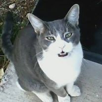 Cathy Blevins Photo 9