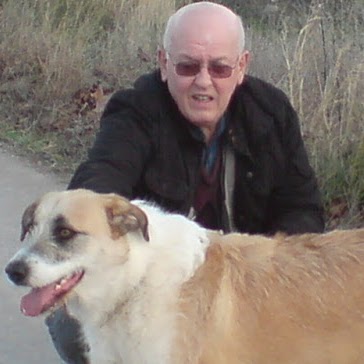 Vincent Costello Photo 13