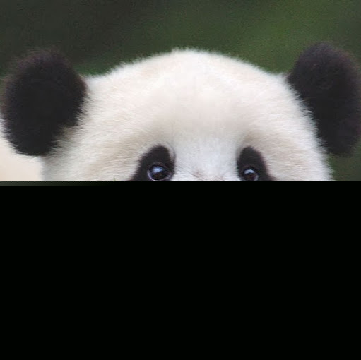 Ling Feng Photo 12