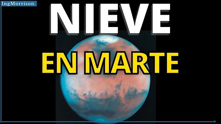 Tomas Marte Photo 13