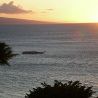 Susan Hillyer Photo 7