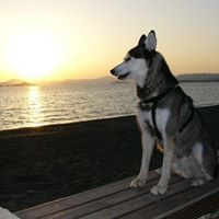 Robert Appleby Photo 1