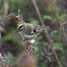 Isaac Walton Photo 43