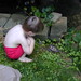 William Turtle Photo 18
