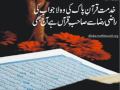 Mohammad Faiz Photo 27